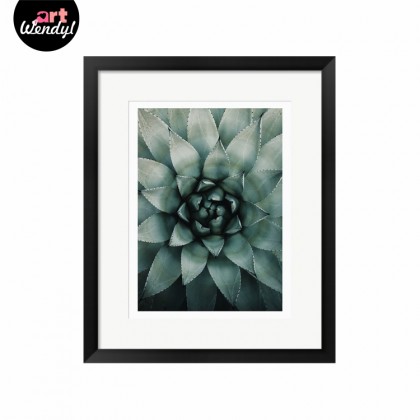 Framed Art Print "Succulent Plant II"